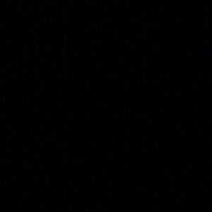 Meet your Posher, Elise